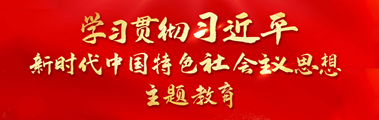 学习贯彻习近平新时代中国特色社会主义思想主题教育