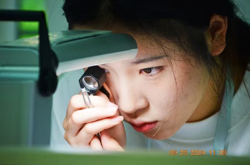 FF985BF892369427632490EA67195C7C.jpg