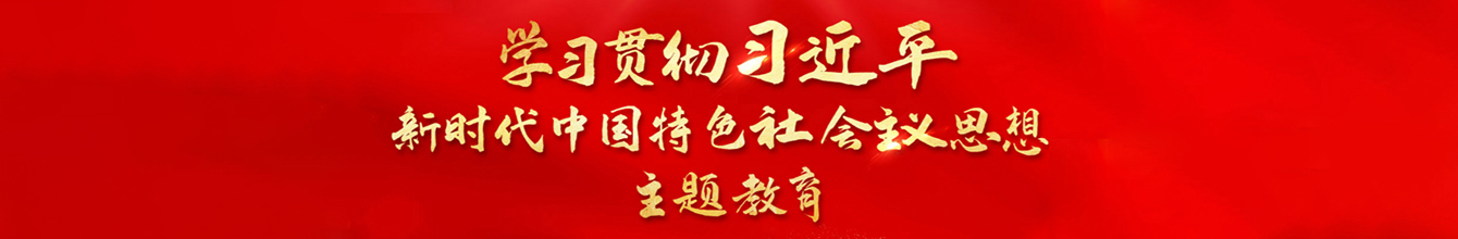 学习贯彻习近平新时代中国特色社会主义思想主题教育
